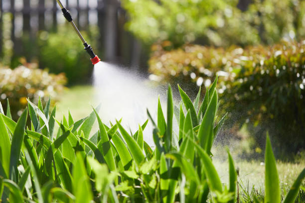 Tamper-Resistant Bait Stations for Rodents in Somerset
