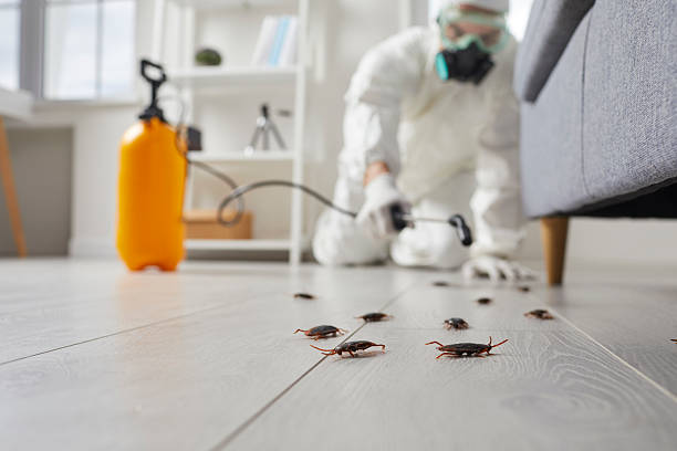 Commercial Rodent Management in Somerset